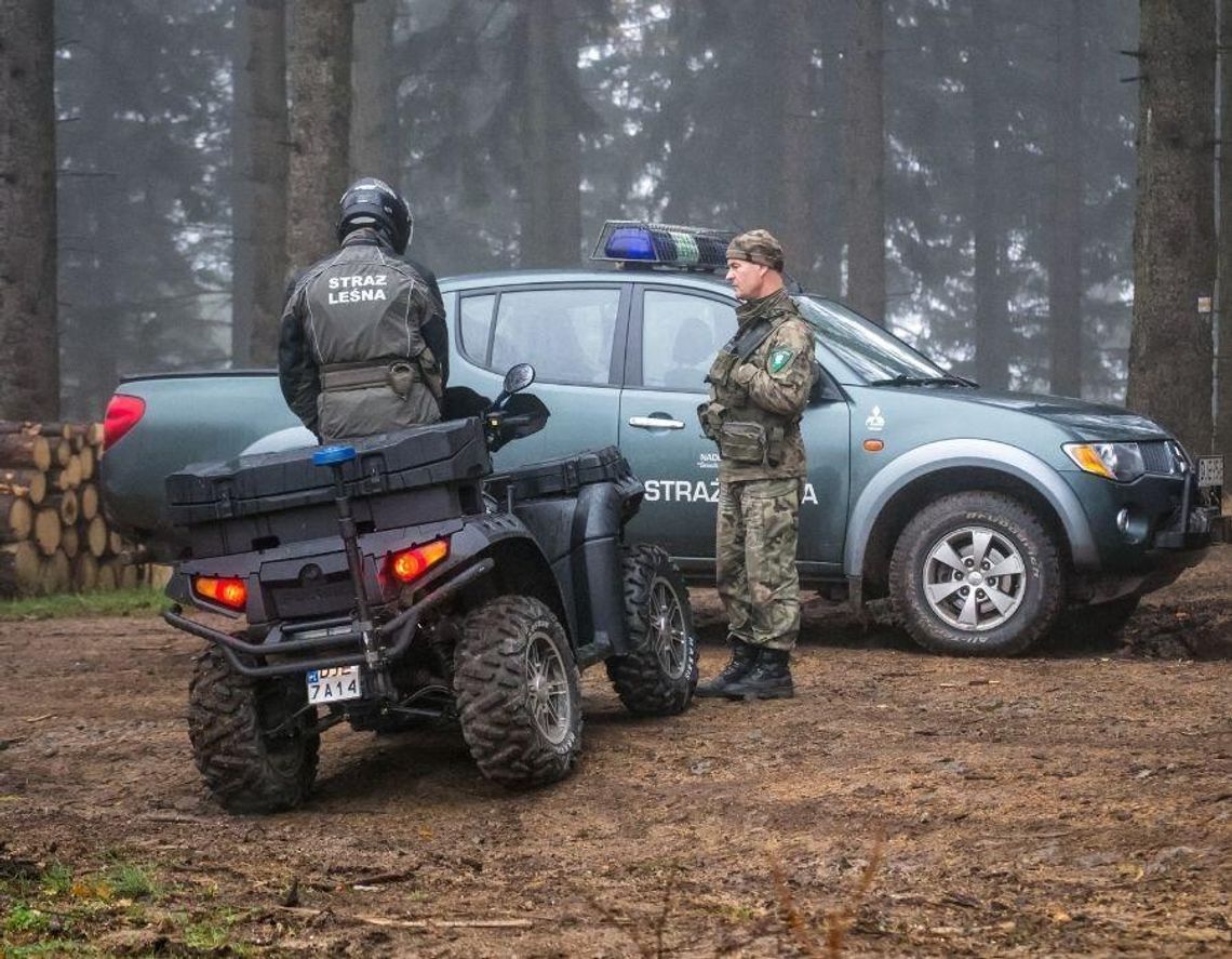 Grzybiarze, uwaga! Od dzisiaj w lasach DUŻA AKCJA I KONTROLE Grzybiarze, uwaga! Od dzisiaj w lasach DUŻA AKCJA I KONTROLE