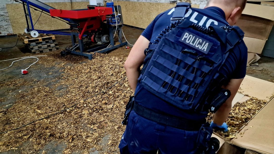 Kaliska mafia zatrzymana. Towar wart MILIONY złotych przejęty Kaliska mafia zatrzymana. Towar wart MILIONY złotych przejęty