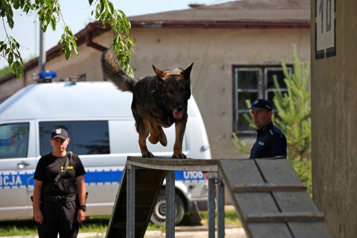 Kaliska policjantka i jej pies służbowy Logan na najwyższym stopniu podium w zawodach kynologicznych ZDJĘCIA