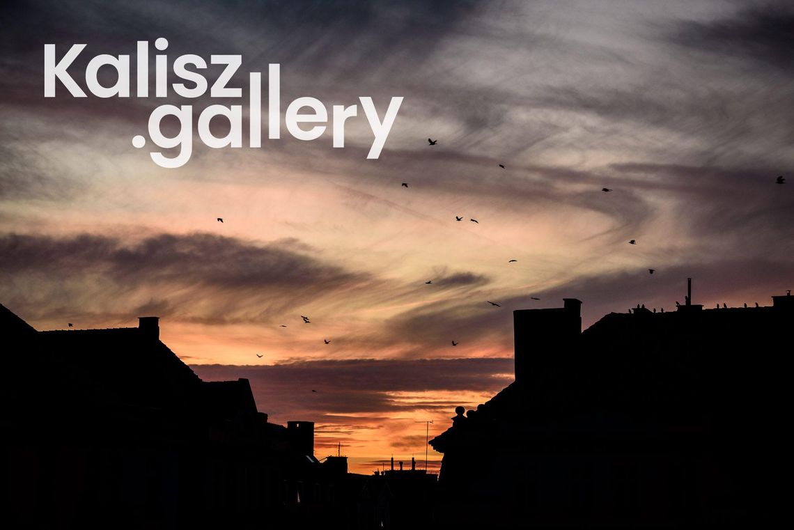 Kalisz.gallery – w sieci powstała multimedialna galeria dla twórców sztuk wizualnych