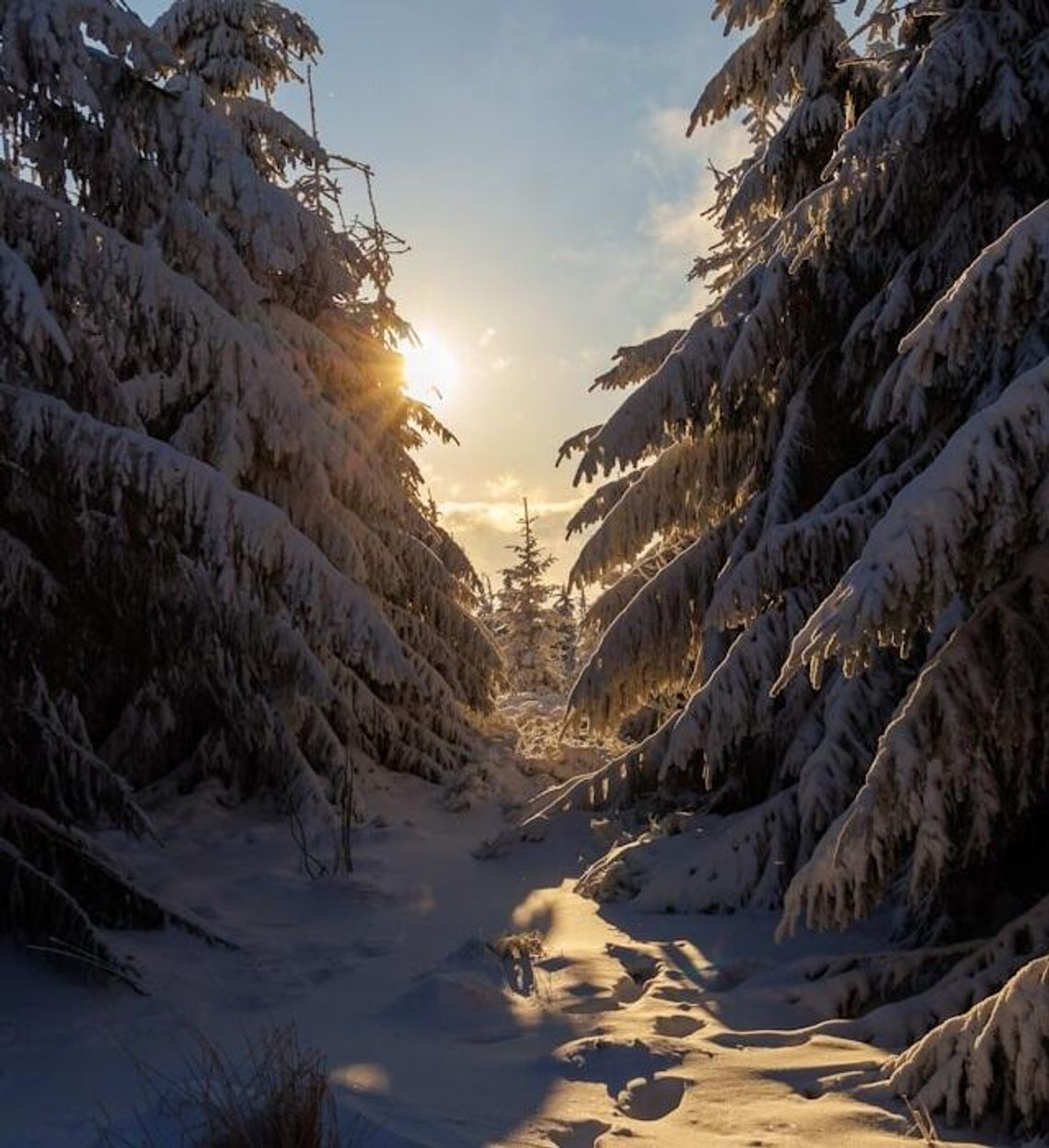 Kiedy KONIEC ZIMY? Na horyzoncie poważna zmiana pogody