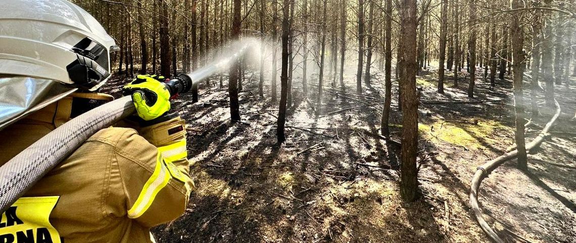 Kilka pożarów w jednym momencie. Zatrzymano 16-letniego chłopaka