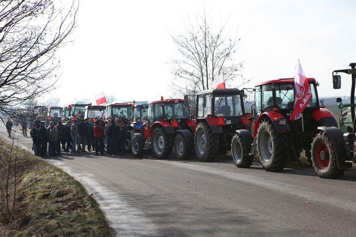 Kilkadziesiąt ciągników ruszyło na Kalisz