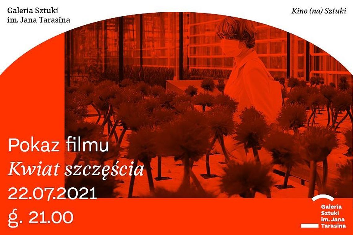 Kino (na) Sztuki w "Tarasinie". W czwartek pokaz filmu "Kwiat szczęścia"