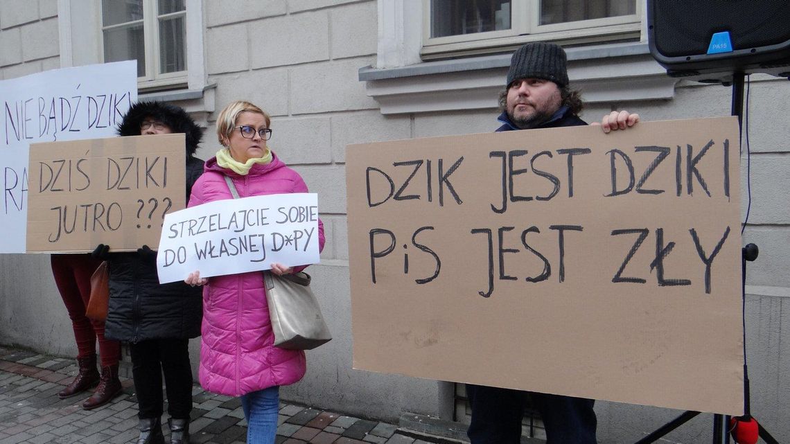 KOD w obronie dzików: strzelajcie sobie do własnej d*py ZDJĘCIA