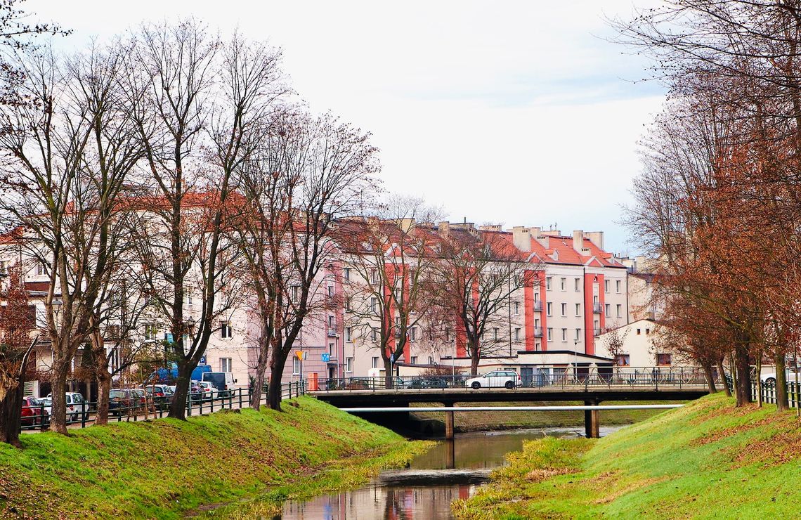 Kogo w tym tygodniu szukają pracodawcy w Kaliszu i regionie? Najnowsza giełda pracy