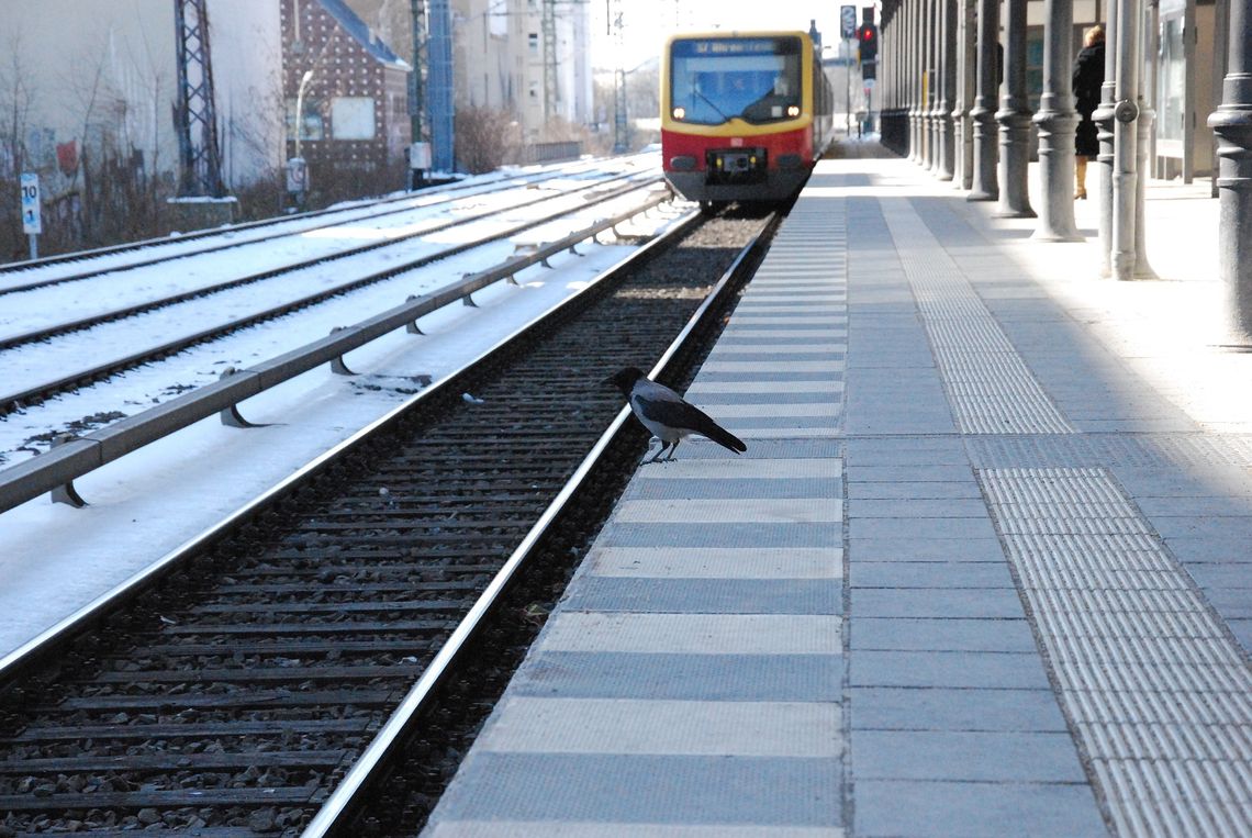 Kolej Plus. Pobudują nowe połączenia kolejowe w regionie