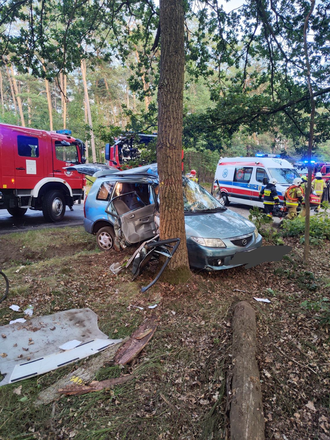 Kolejne zderzenie z drzewem. Ranne dwie osoby