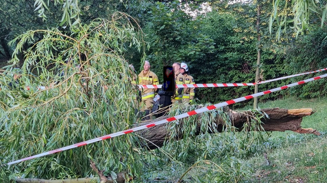 Konar spadł na 3 osoby. Poszkodowane 2 kobiety