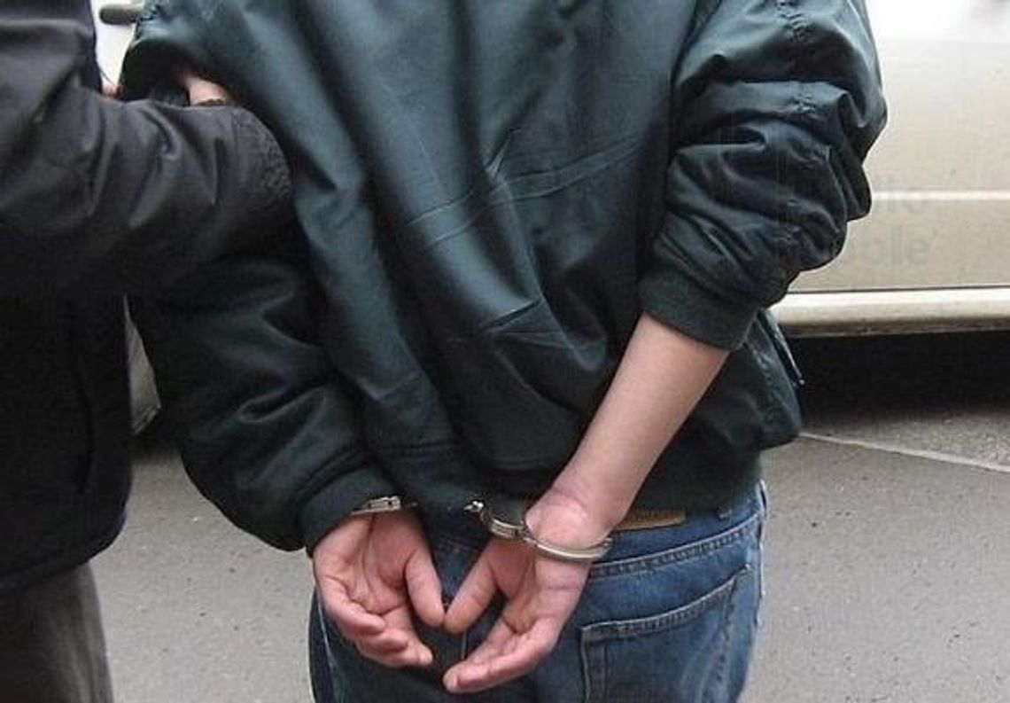 Kopnął policjanta w twarz