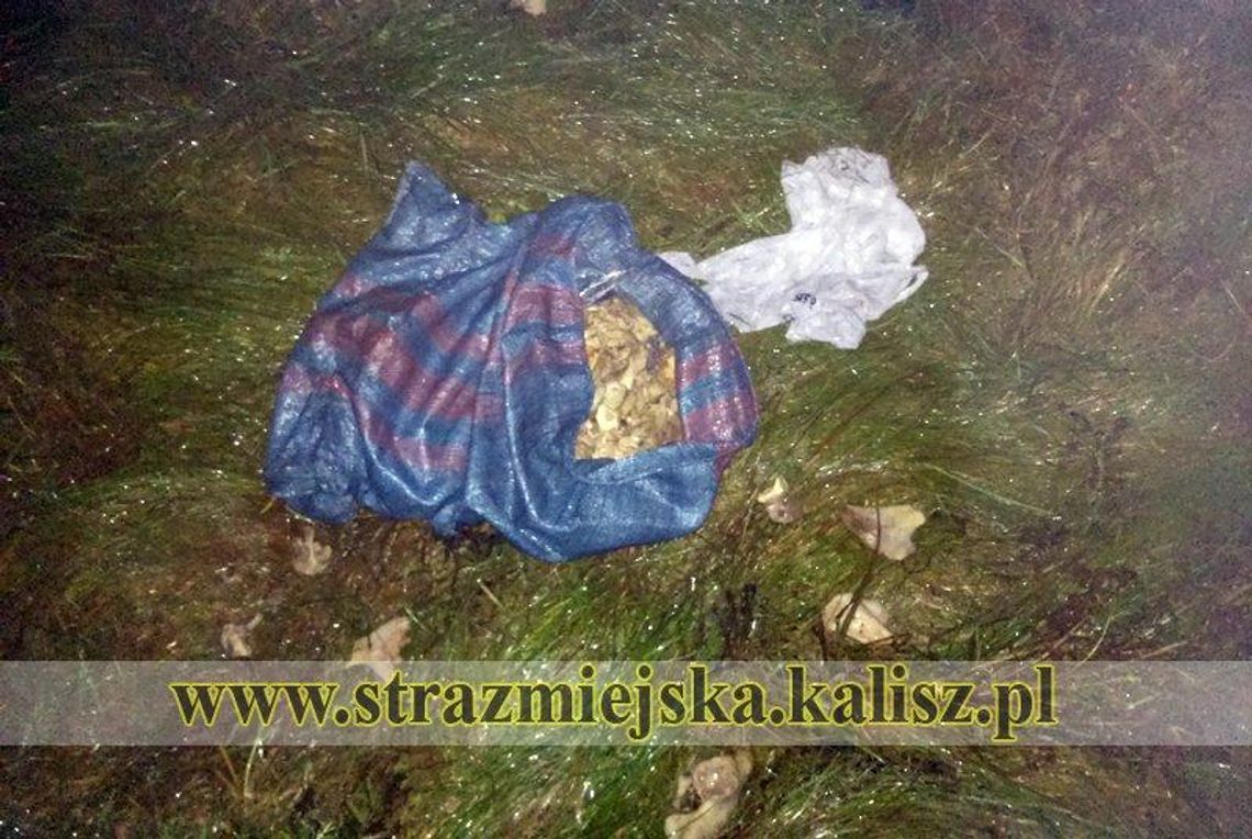 Kości zostały podrzucone