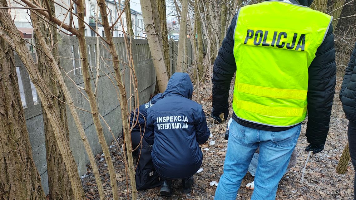 Koszmar za zamkniętymi drzwiami. Kobieta była uwięziona i gwałcona