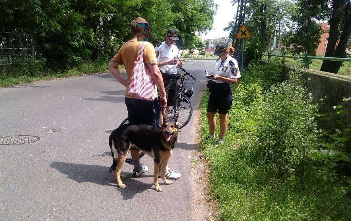 „Kupa na trawniku - mandat w portfeliku”. Straż miejska podsumowała akcję WIDEO