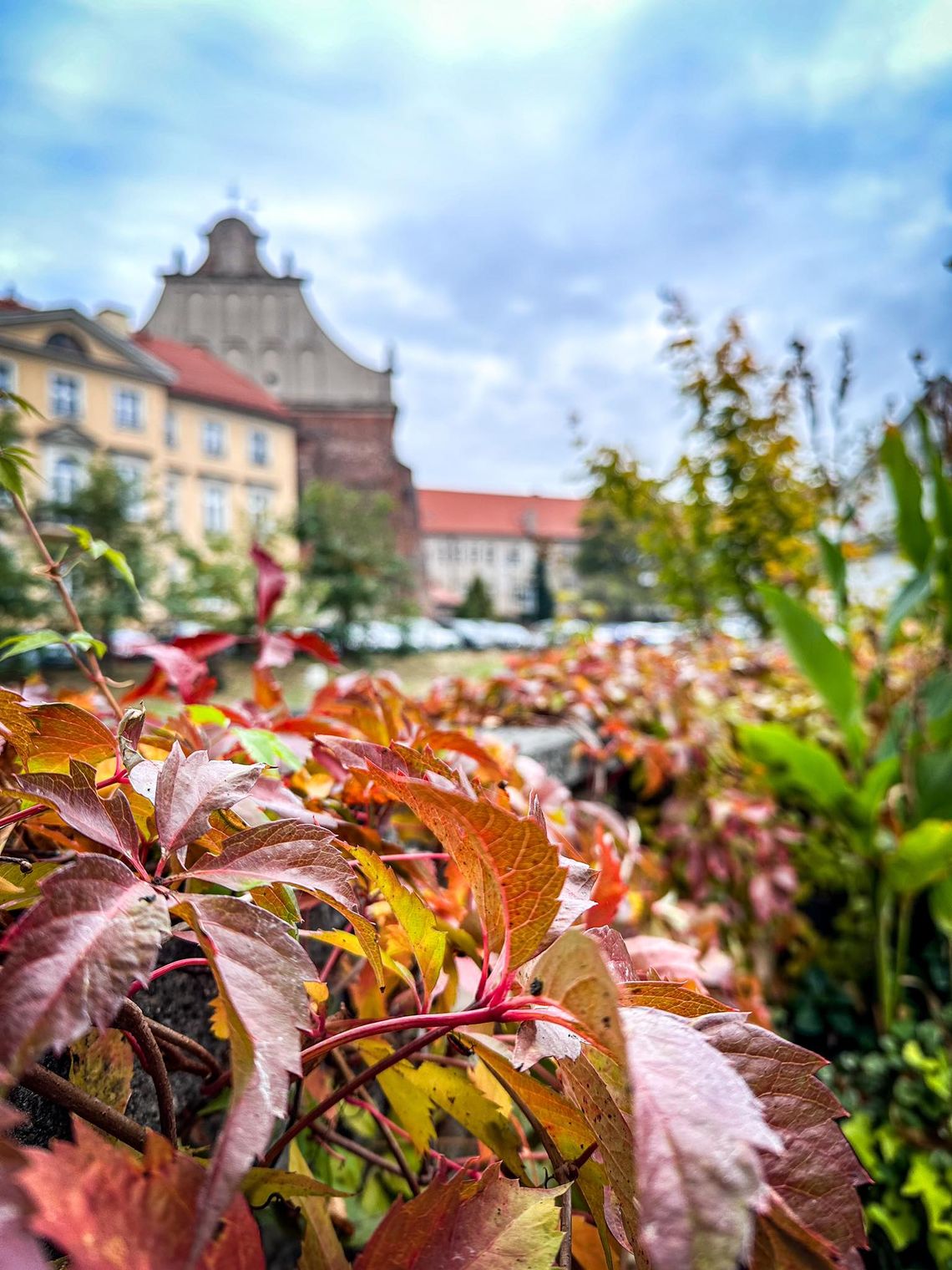 Kwiatowe Wzgórza, park kieszonkowy, skwer. Tutaj powstaną zielone inwestycje