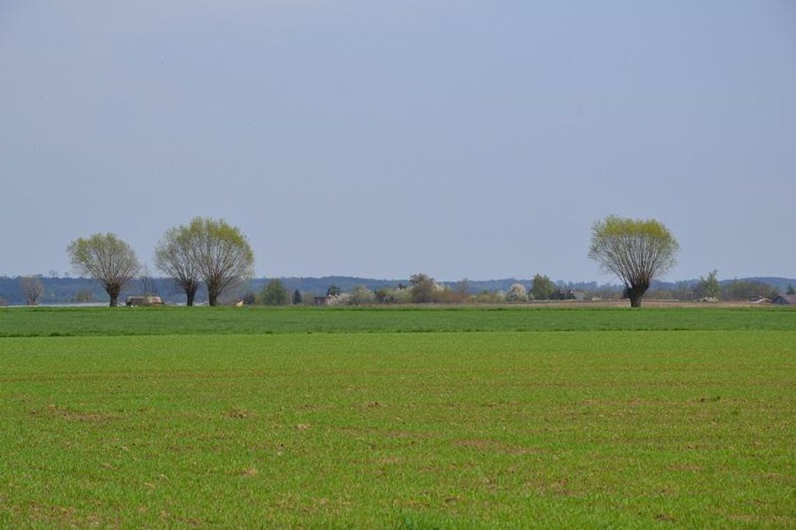 Łączą działki w powiecie kaliskim