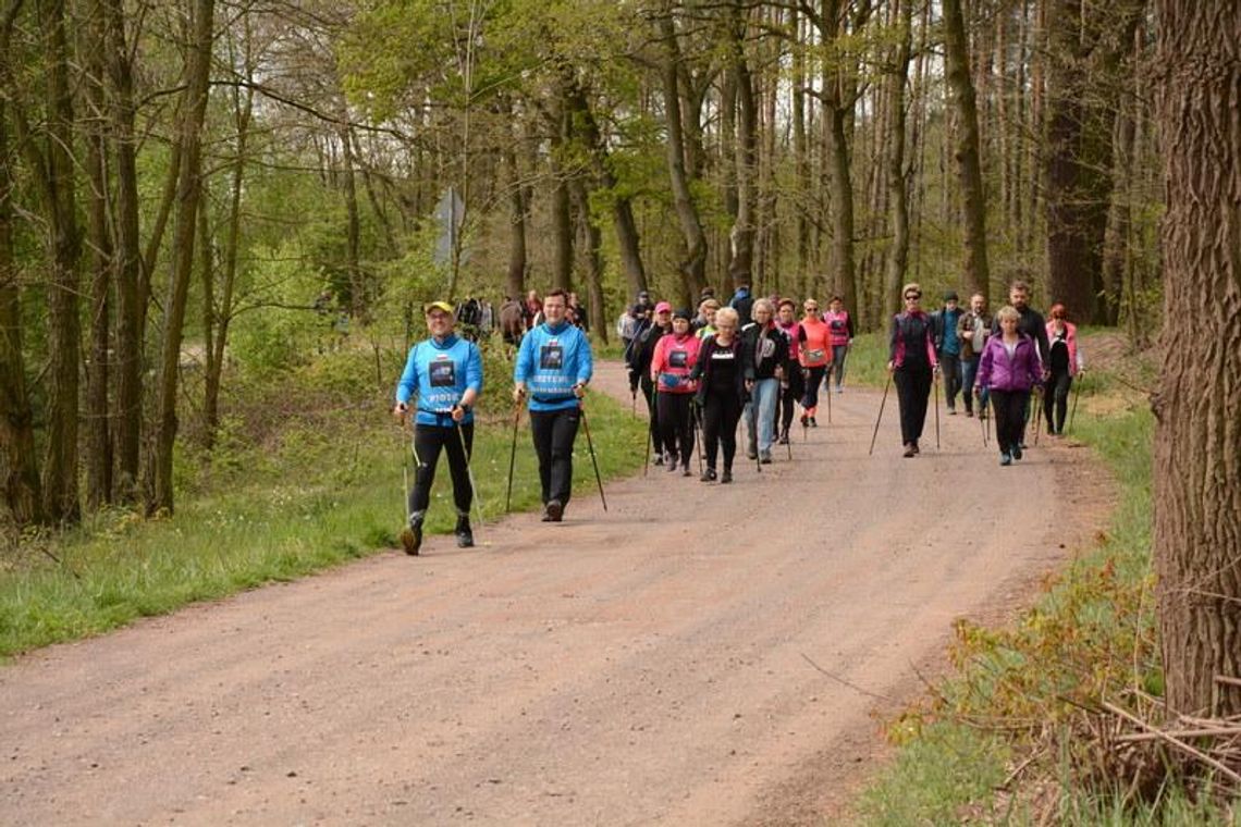 Leśna 5-tka w Koźminku. Pieszo, konno, z kijkami