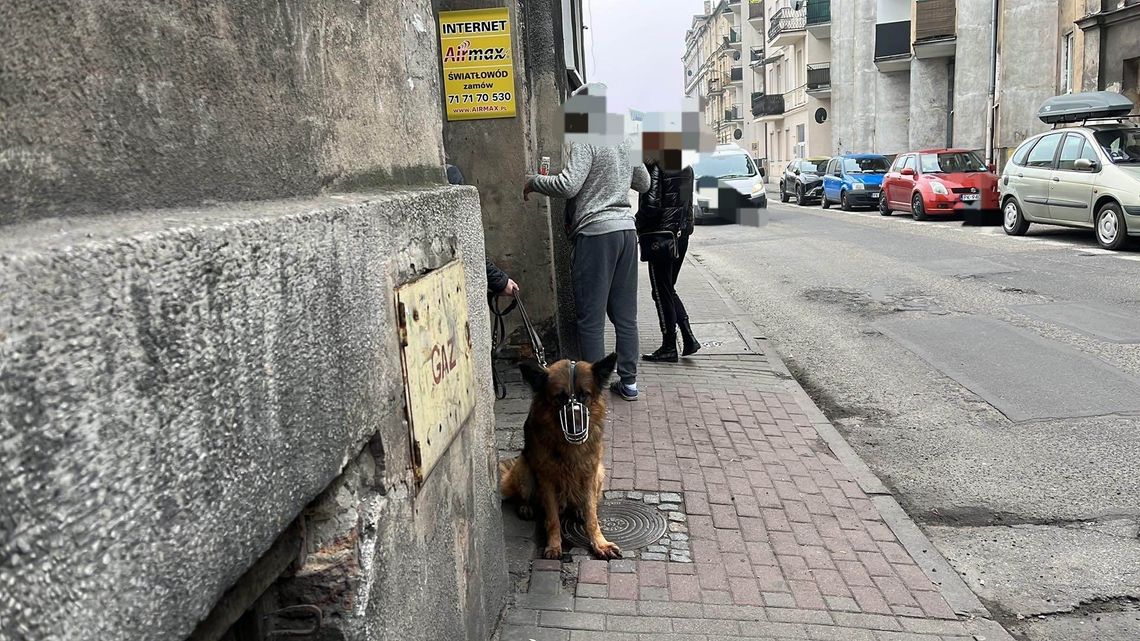 Makabra na Ciasnej. W mieszkaniu zmarła kobieta, pies miał odgryźć jej rękę! ZDJĘCIA