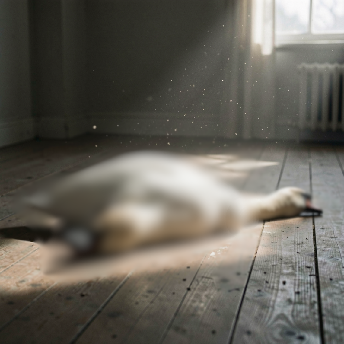 Martwy łabędź w mieszkaniu 44-latka. Ptak był OSKUBANY!