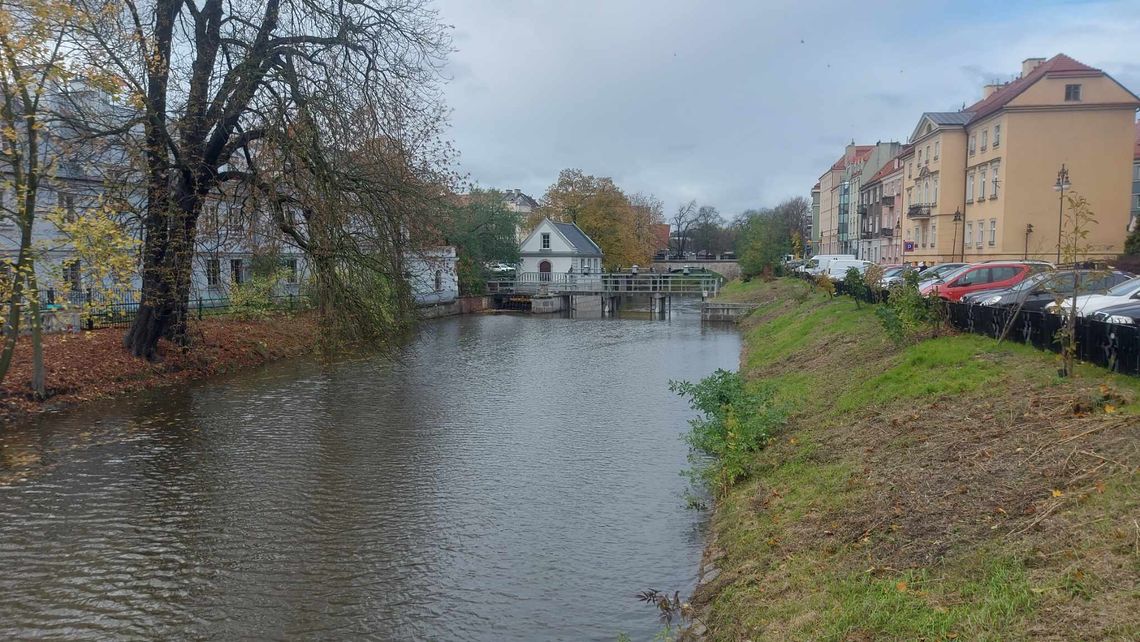 Mężczyzna wpadł do rzeki. Akcja służb przy Moście Trybunalskim