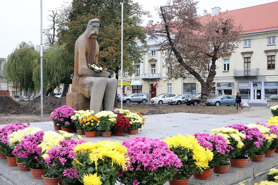 Miasto otrzymało chryzantemy od lokalnego ogrodnika. Kwiaty ozdobią miejsca pamięci ZDJĘCIA