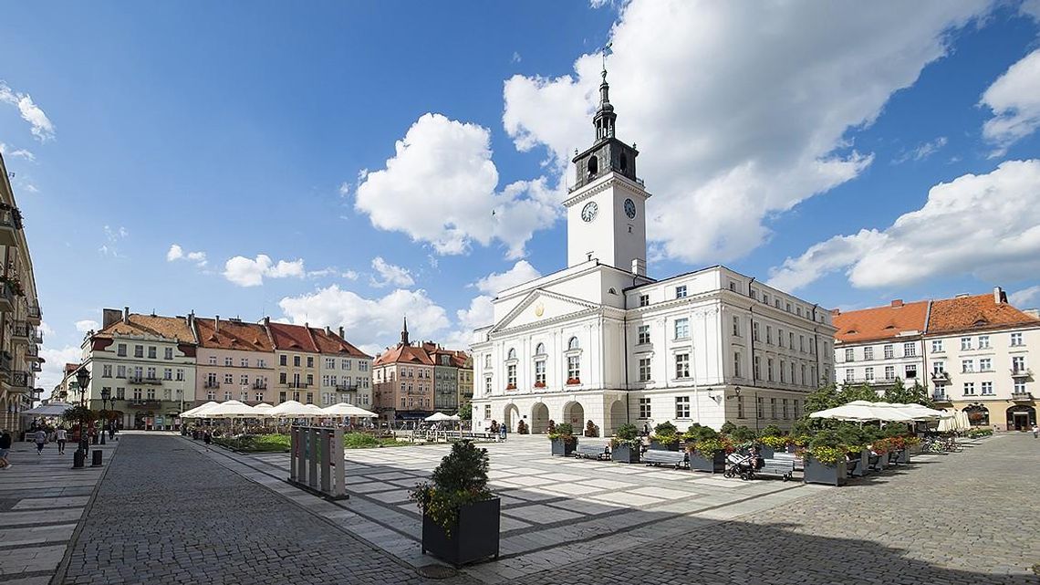 Miasto poszukuje podinspektora do spraw projektów