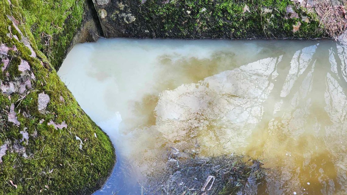 Mleczna substancja na Prośnie. W akcji grupa chemiczna