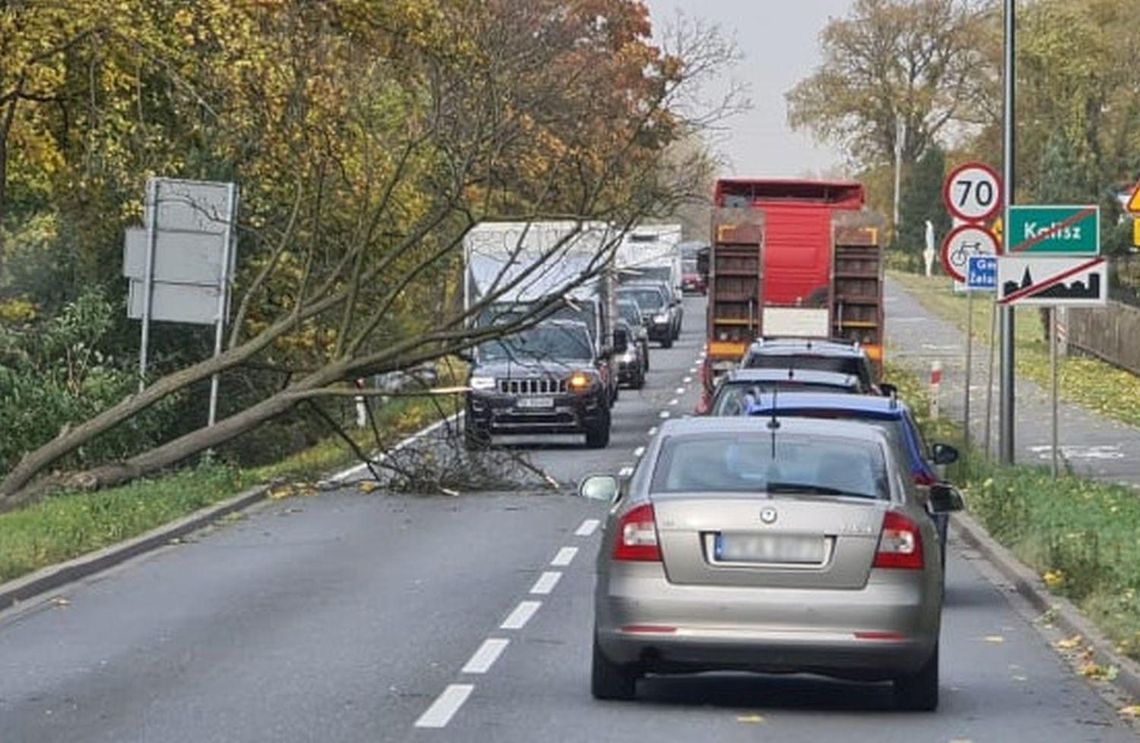 Może łamać drzewa, zrywać dachy. Przed nami niebezpieczna noc