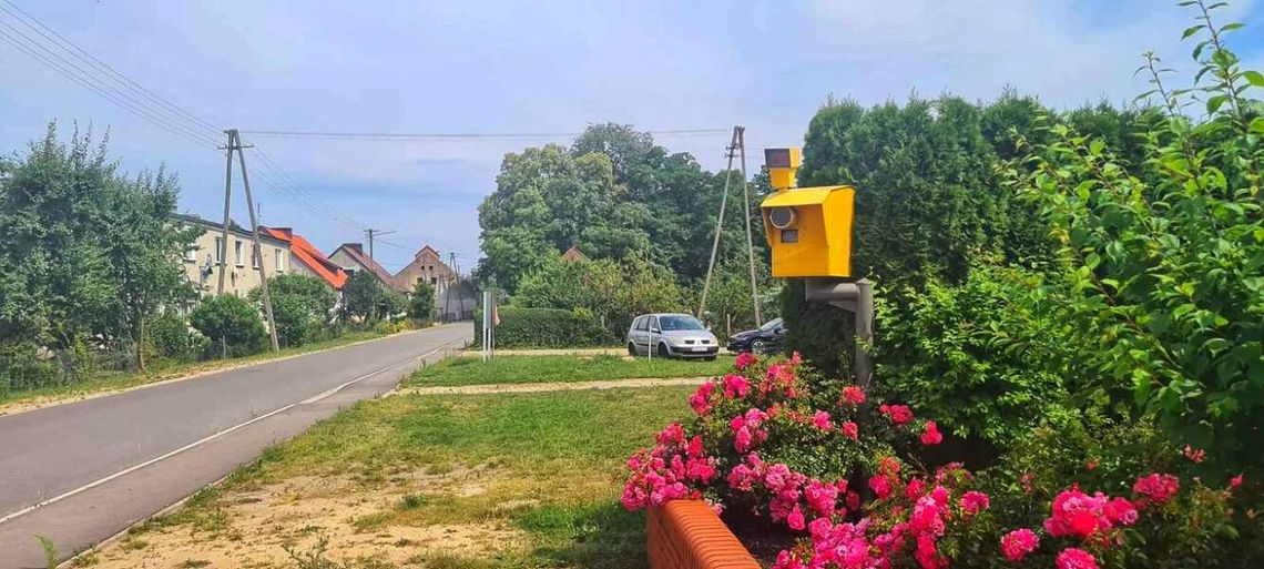 Nagminnie łamali przepisy. Sołtyska postawiła w swoim ogródku... fotoradar