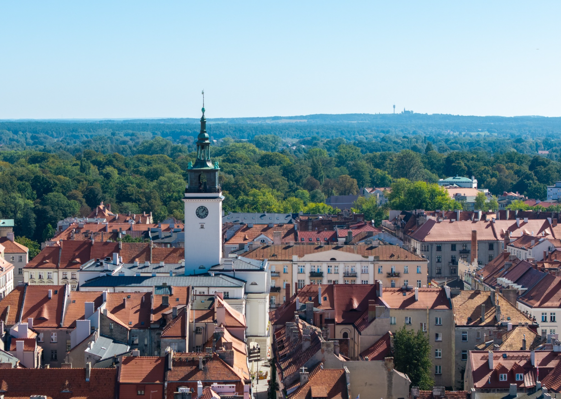 Najnowsza GIEŁDA PRACY. Kogo szukają firmy? KALISZ I OKOLICE