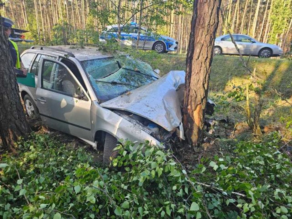 Najpierw pił, potem wsiadł za kierownicę. Jazdę zakończył na drzewie