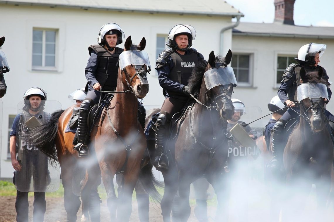 Nie boi się tłumu i huku. Skuteczniejszy niż 20 pieszych policjantów!