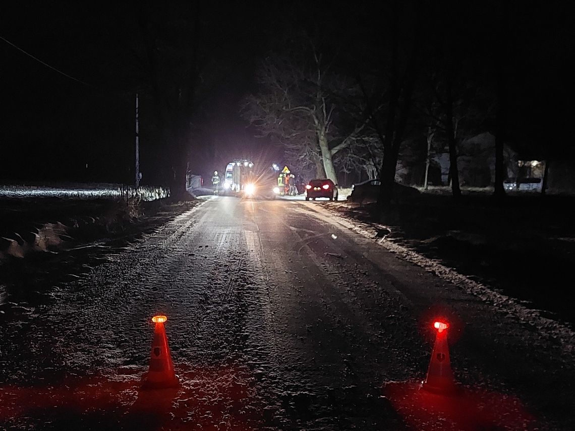 „Nie dostosował prędkości…”. Renault uderzyło w drzewo