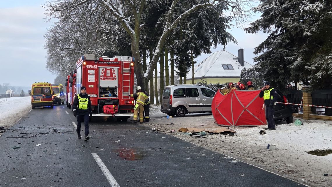 Nie żyje matka i jej 4-letnia córka. Tragedia w Wielkopolsce