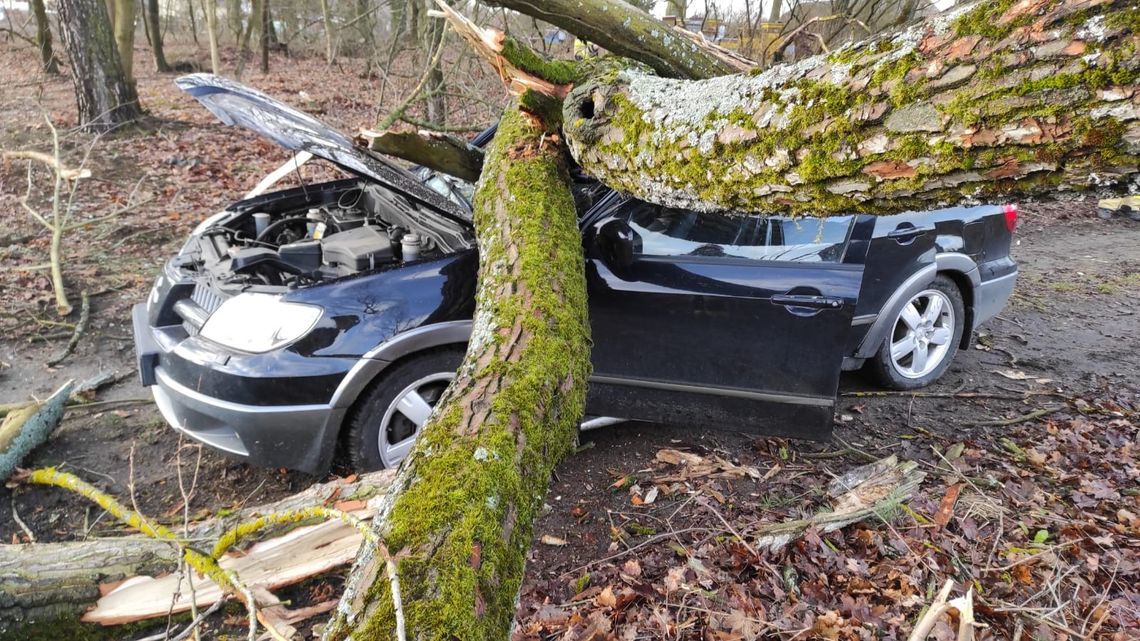 Niebezpieczne załamanie pogody. Nadciągają wichury i burze