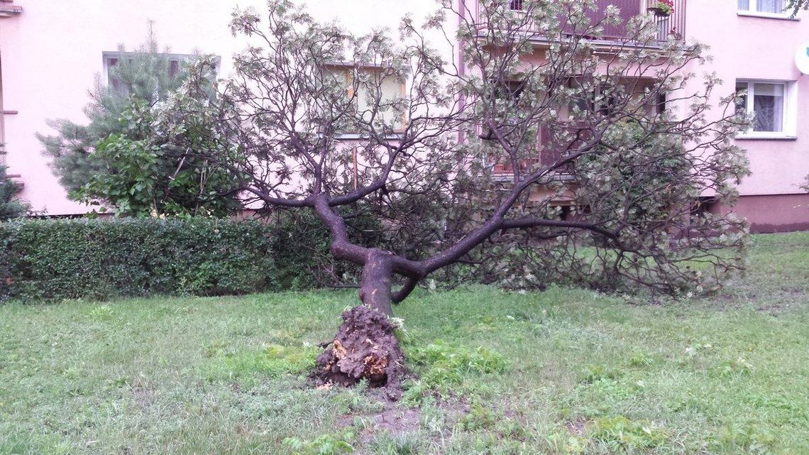 Niespokojna noc za nami. Czy dziś pogoda się poprawi?