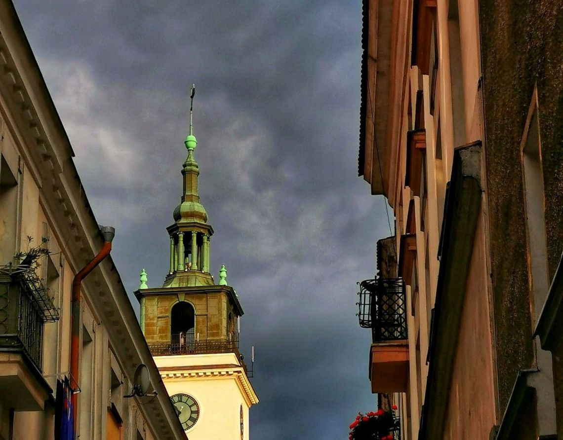 Nowa giełda pracy. Kogo w tym tygodniu szukają pracodawcy?