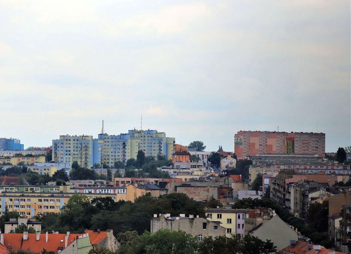 Nowa giełda pracy. Kogo w tym tygodniu szukają pracodawcy?