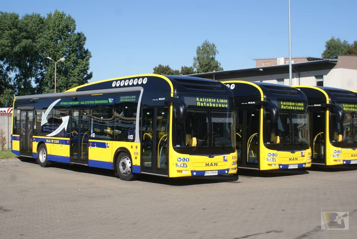 Nowe hybrydy wyjeżdżają na ulice Kalisza. „Zmobilizowały nas upały”