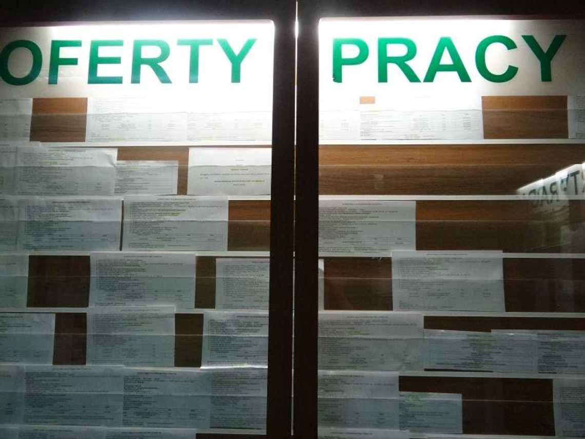 Nowe oferty pracy Nowe oferty pracy