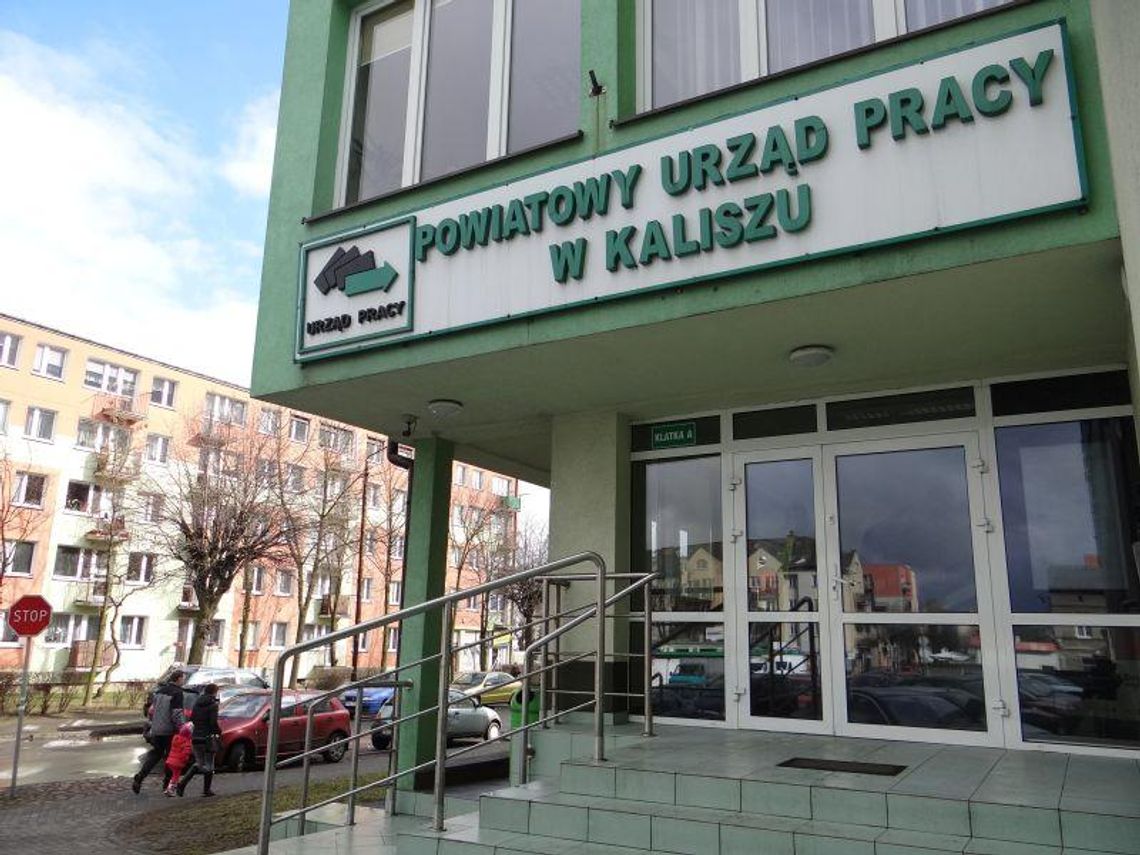 Nowe oferty pracy Nowe oferty pracy
