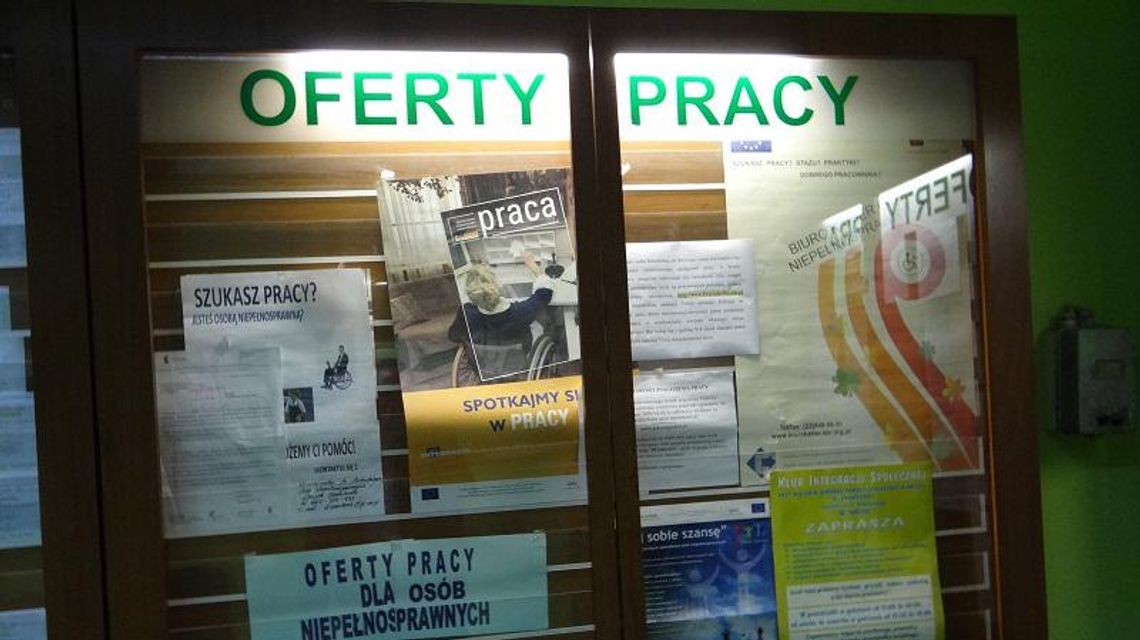 Nowe oferty pracy Nowe oferty pracy