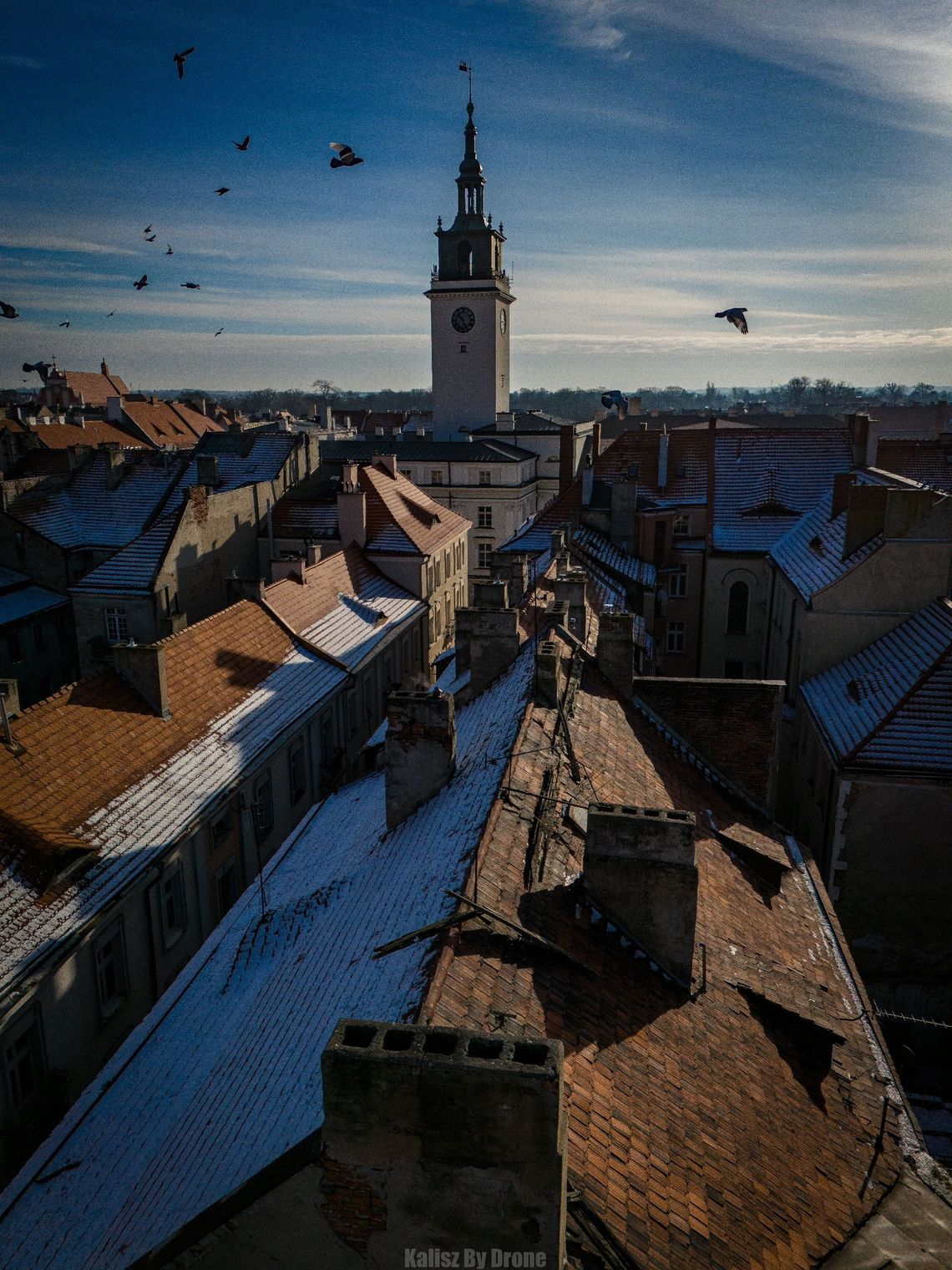 NOWE oferty pracy. Kalisz i okolice
