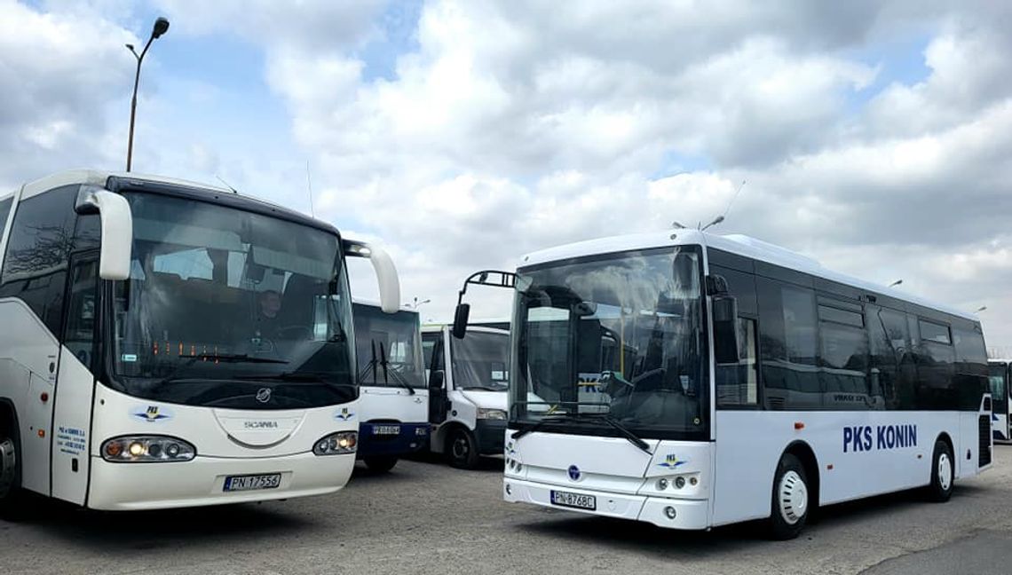 Nowe połączenie PKS.  Pasażerowie zdecydują o rozkładzie jazdy