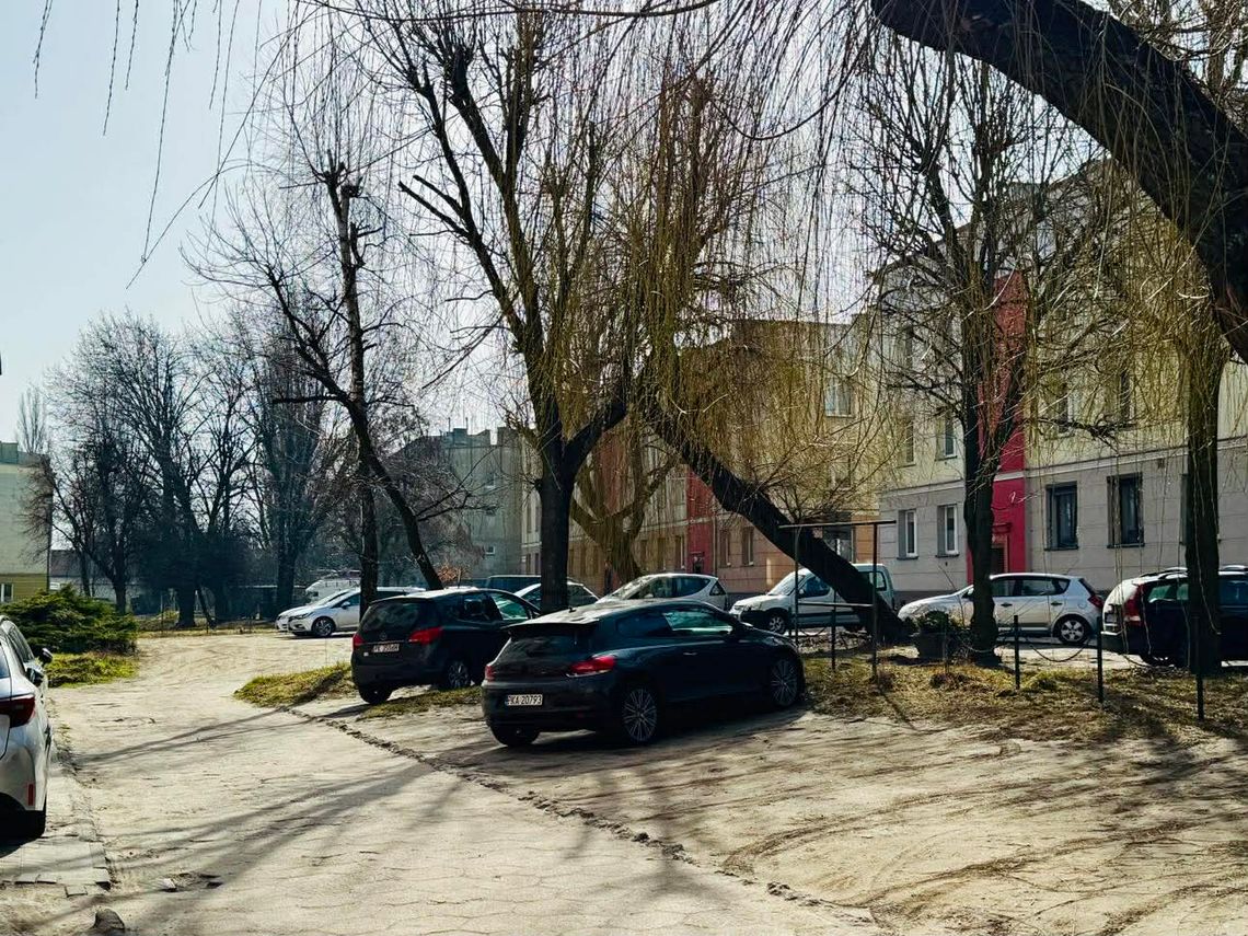 Nowy Świat do przebudowy. Miasto analizuje trzy oferty Nowy Świat do przebudowy. Miasto analizuje trzy oferty