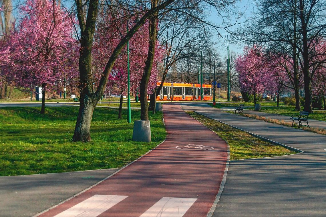 Nowymi ścieżkami do Kalisza. Projekt za ponad 22 mln zł!