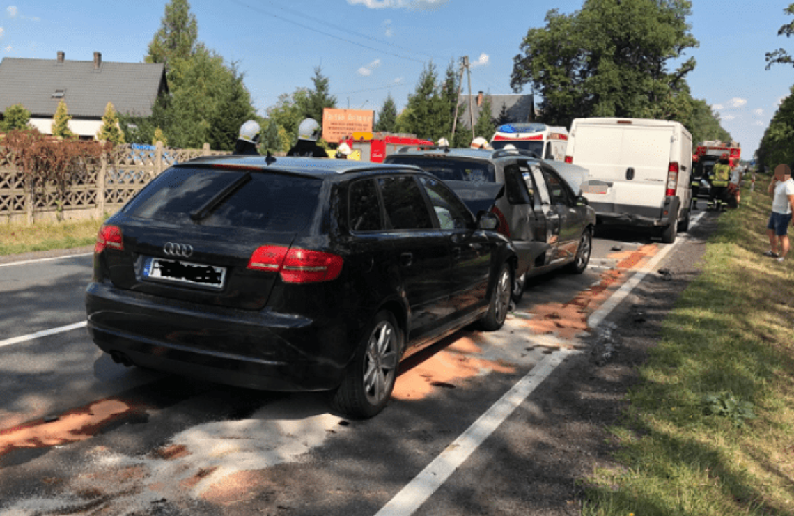 Obsługiwała kolizję, zaatakował ją pies. Policjantka ugryziona przez owczarka niemieckiego