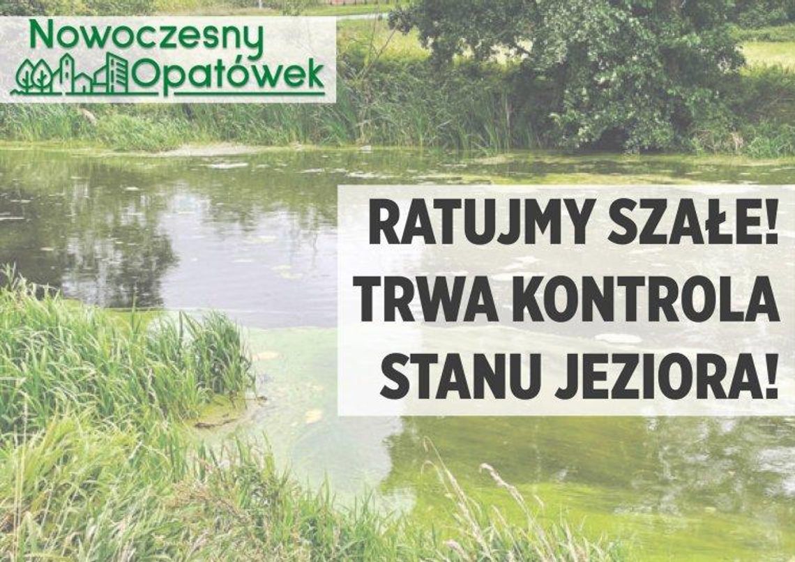 Oczyszczą Szałe?