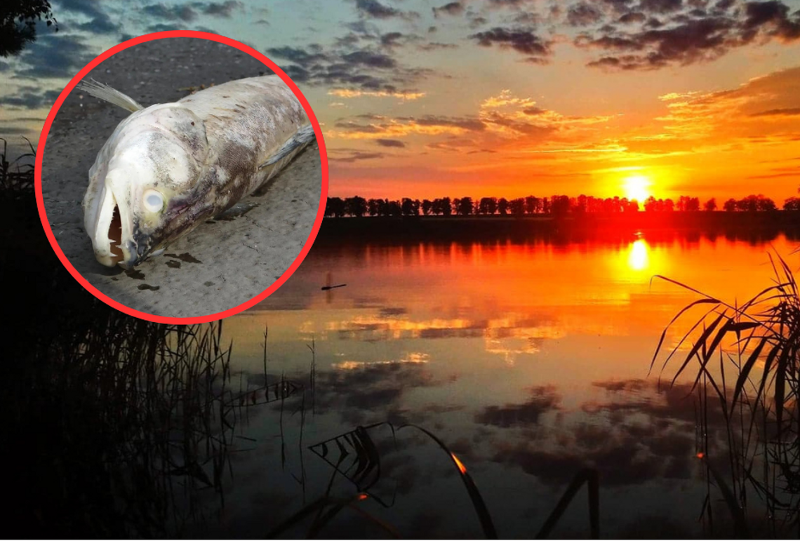 Oczyszczą wielki zbiornik? Potrzeba czasu i pieniędzy Oczyszczą wielki zbiornik? Potrzeba czasu i pieniędzy