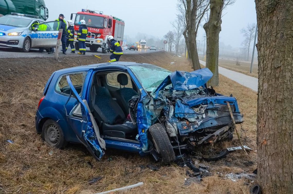 Osobówką w drzewo. Wypadek na krajowej „11” ZDJĘCIA