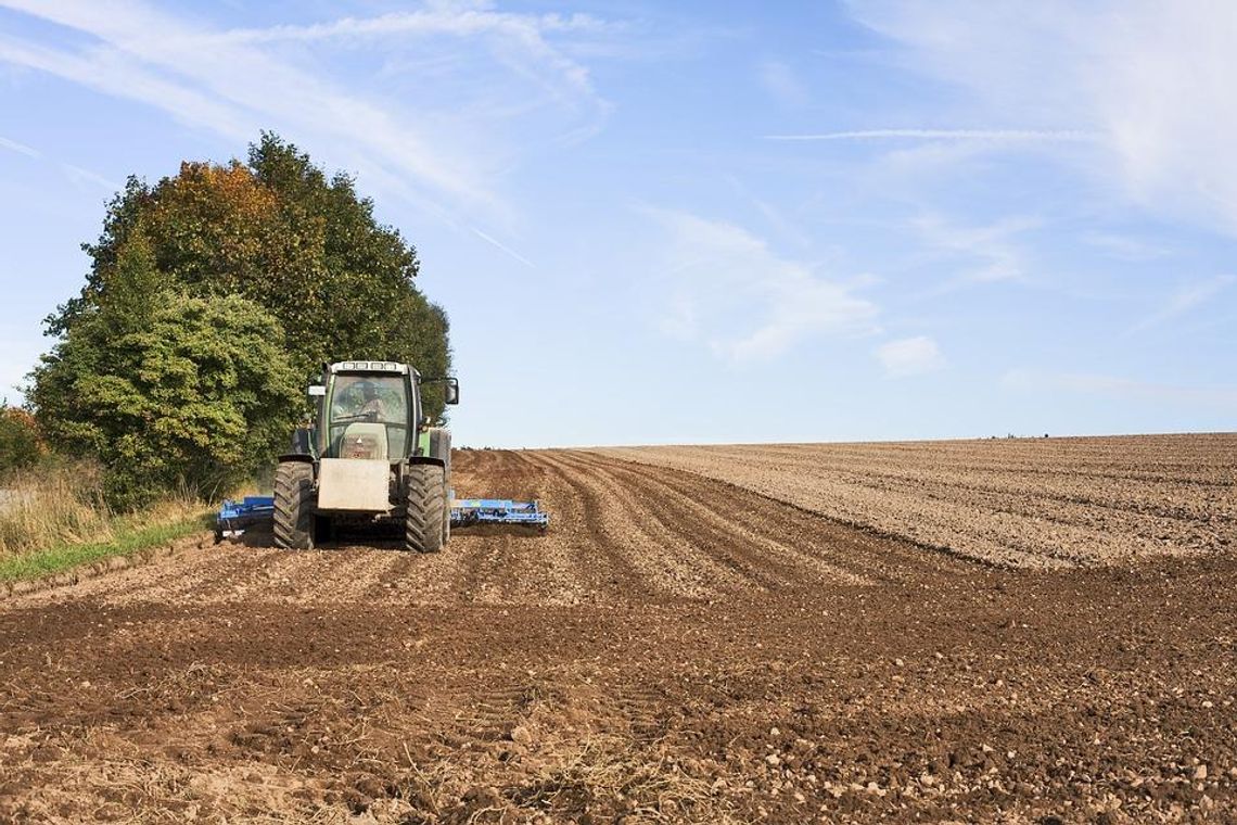 Ostatni moment na składanie wniosków o dopłaty bezpośrednie dla rolników